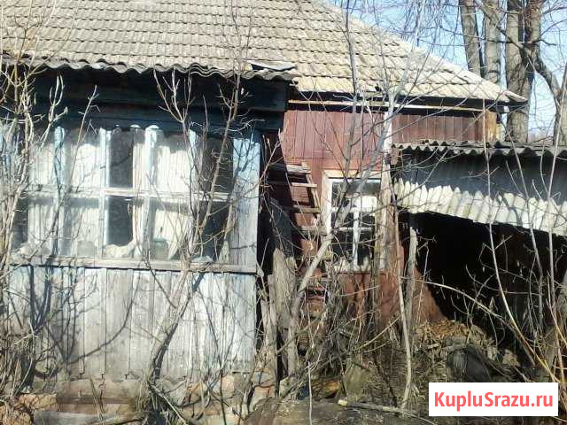 Дом 33 кв.м. на участке 52 сот. Репьевка - изображение 1