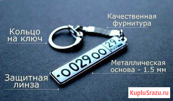 Брелок госномер Мичуринск - изображение 1
