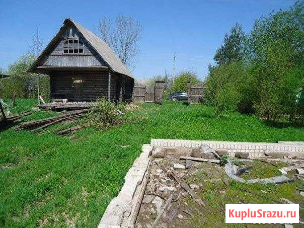  Струги Красные - изображение 1