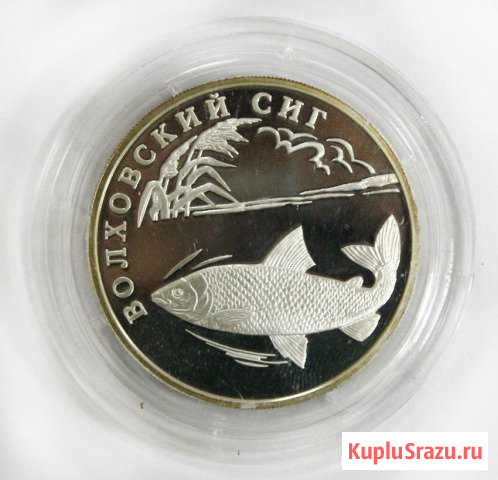 Монета. 1 рубль Волховский сиг 2005 год. Серебро Тольятти - изображение 1