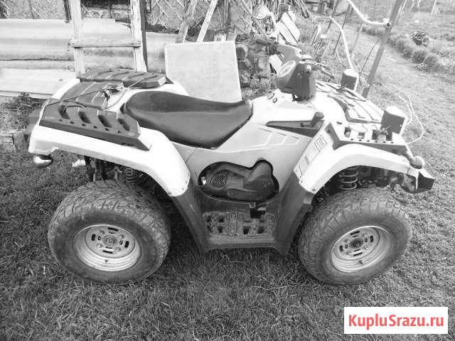 Продам,обменяю на снегоход квадроцикл reggy276 см3 Инжавино - изображение 1