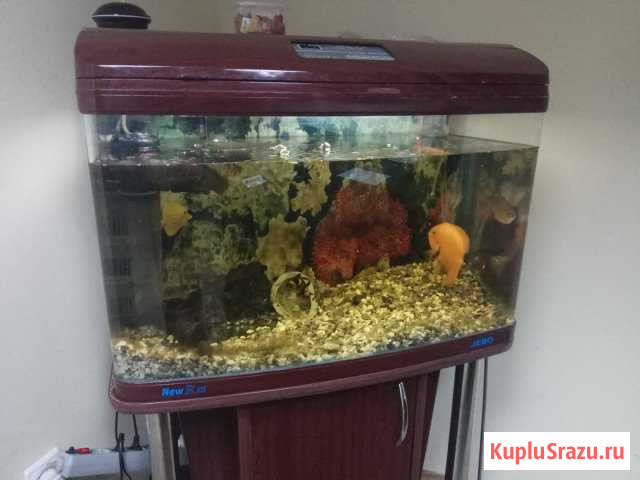 Продам аквариум Jebo Вологда - изображение 1