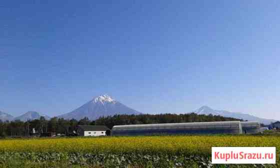  Петропавловск-Камчатский