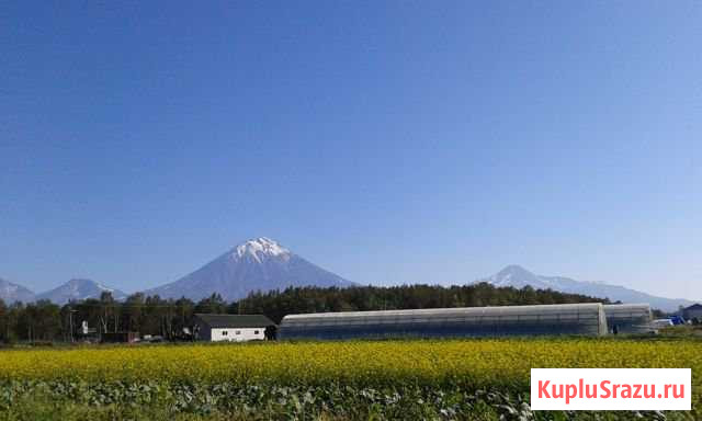 Петропавловск-Камчатский - изображение 1
