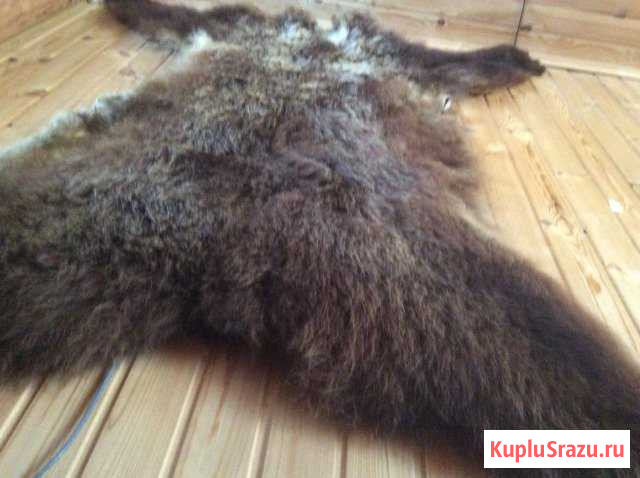 Ковер Энгельс - изображение 1