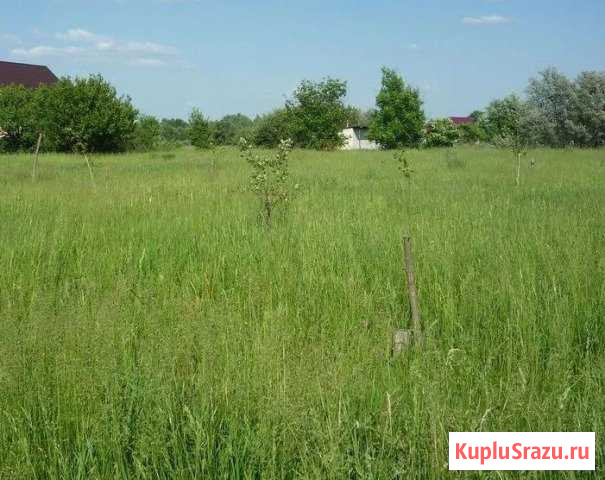  Комсомольск-на-Амуре - изображение 1