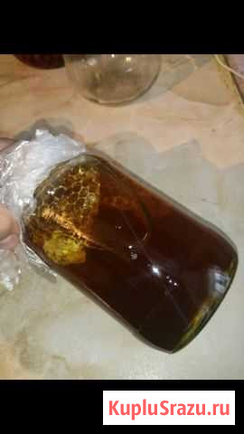 Мёд Чистый, 3х,Лт. 4 тыс Кизляр - изображение 1