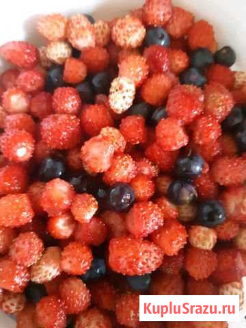 Земляника,черника Светлый - изображение 1