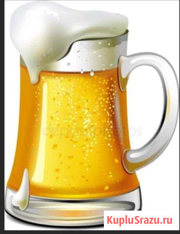 Продавец разливного пива Гурьевск - изображение 1