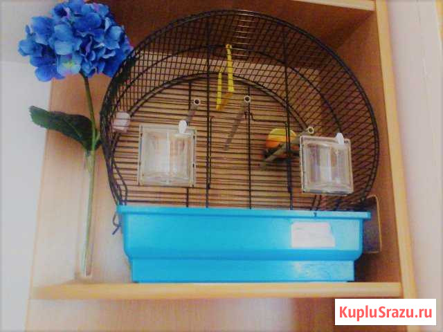 Клетка для птиц Малоярославец - изображение 1