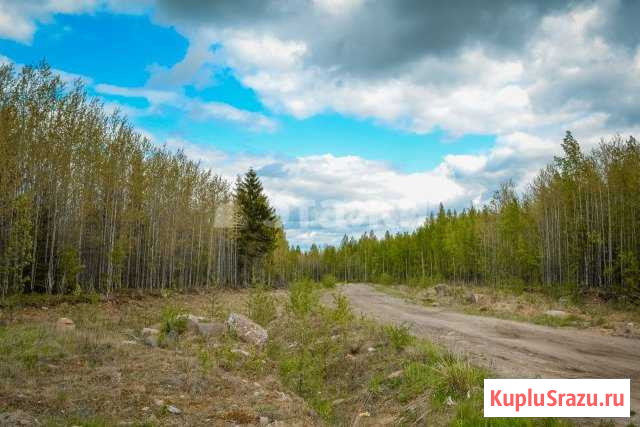  Петрозаводск - изображение 1