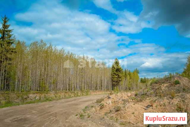  Петрозаводск - изображение 1