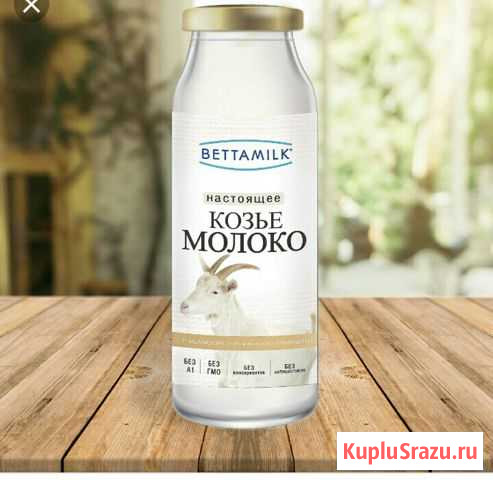 Продоётся настоящее козье молоко и сыр Полярные Зори - изображение 1