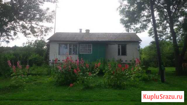Дом 61.9 кв.м. на участке 68 сот. Залегощь - изображение 1