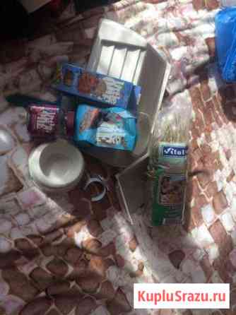 Клетка Щёлково