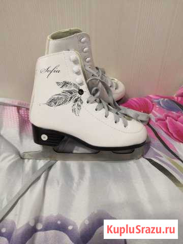 Продаю коньки Щёлково - изображение 1