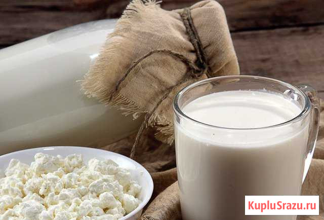 Козье Молоко, творог, сыр, яйца, хлеб на закваске Видное - изображение 1