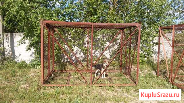 Клетка вольер 3м *2м*2м Руза - изображение 1