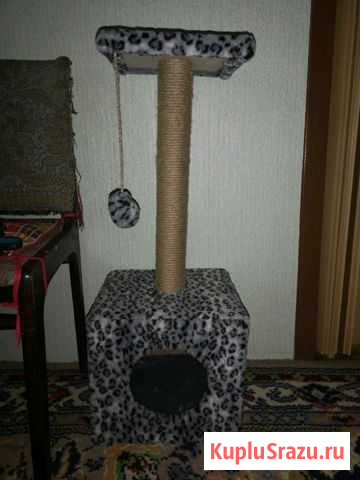 Когтеточка Серпухов - изображение 1