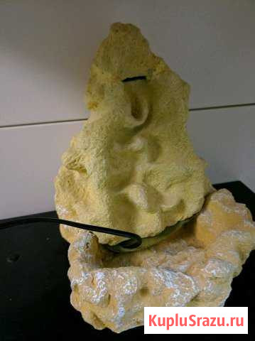 Поилка для рептилий Волоколамск - изображение 1