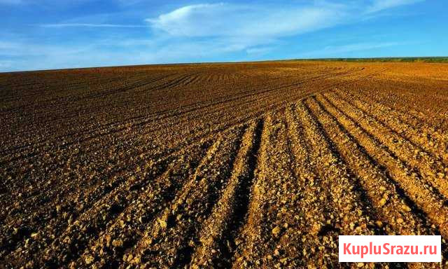 Вспахать землю, покосить траву Красногорск - изображение 1