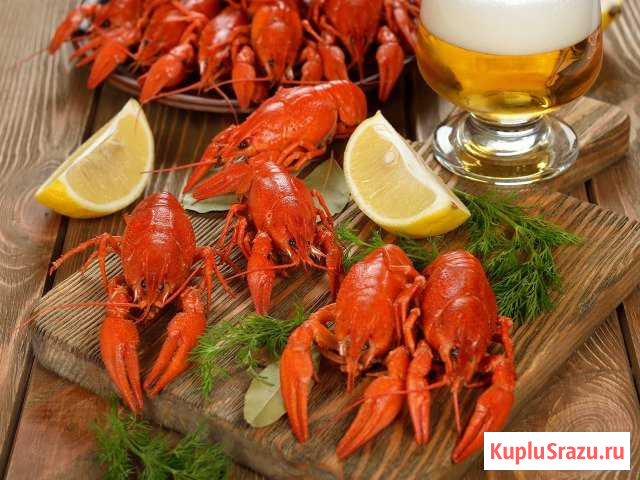 Живые и вареные раки Икша - изображение 1