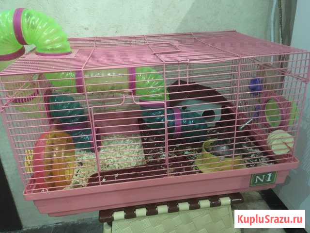 Продам клетку Раевская - изображение 1