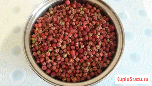 Клубника Копейск - изображение 1