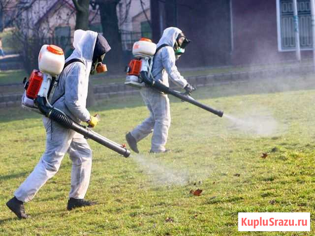 Обработка от комара,мошки и др Барнаул - изображение 1