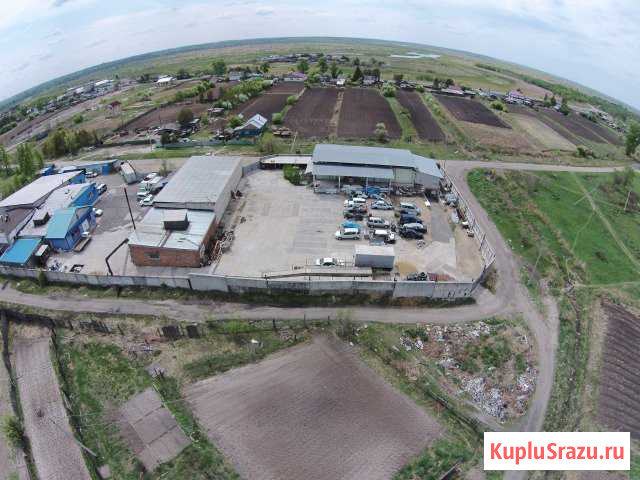 Предприятие по переработке рыбы Белогорск - изображение 1