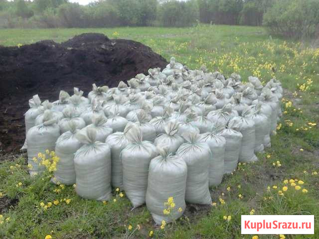 Продам навоз конский Котлас - изображение 1