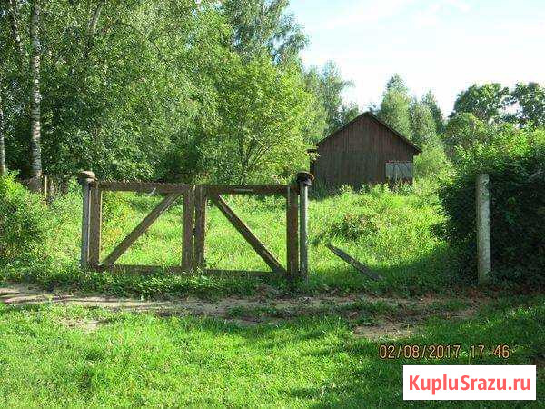  Новосмолинский - изображение 1
