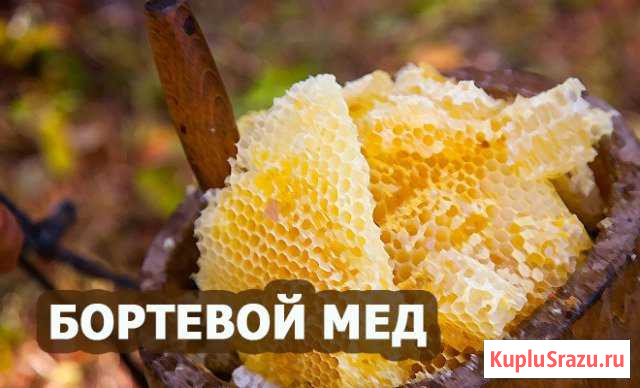 Дикий мёд Стерлитамак - изображение 1