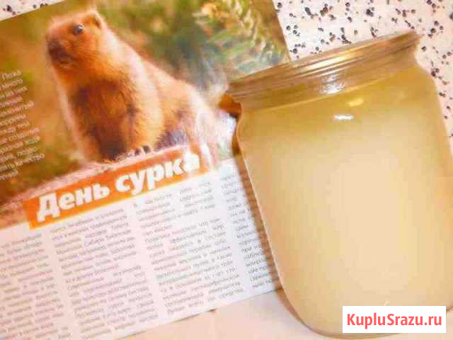 Жир байбака Валуйки - изображение 1