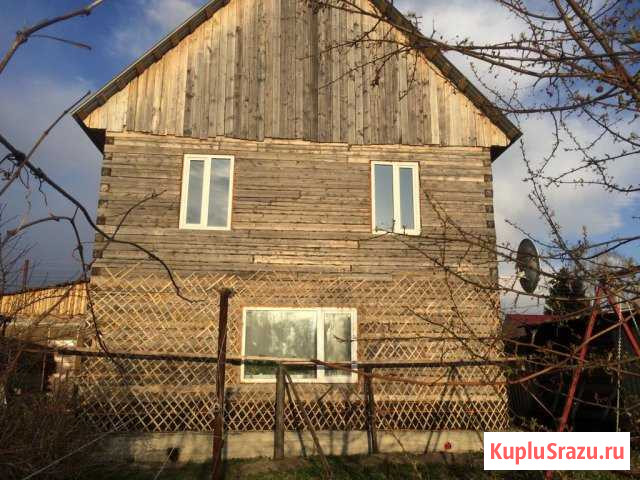  Алтайское - изображение 1