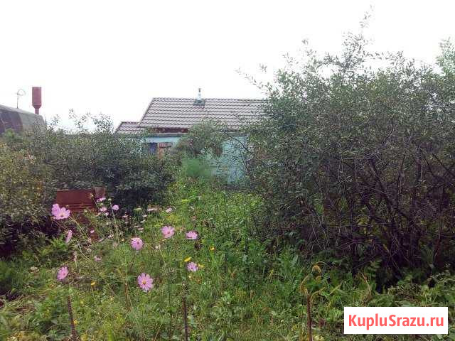 Барнаул - изображение 1