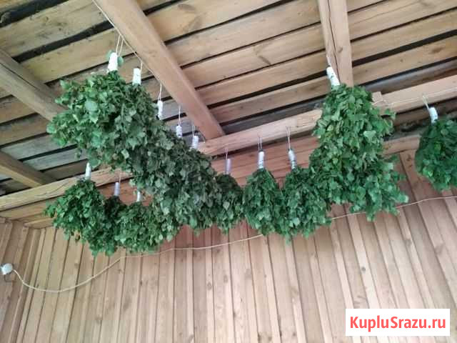 Веники для бани Меленки - изображение 1