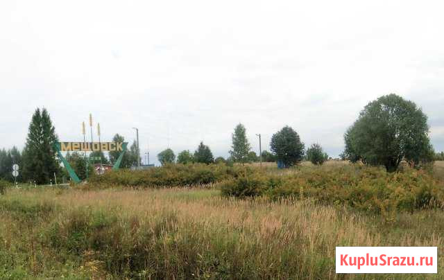  Мещовск - изображение 1