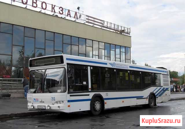 Водитель автобуса кат.D, Д Петрозаводск - изображение 1