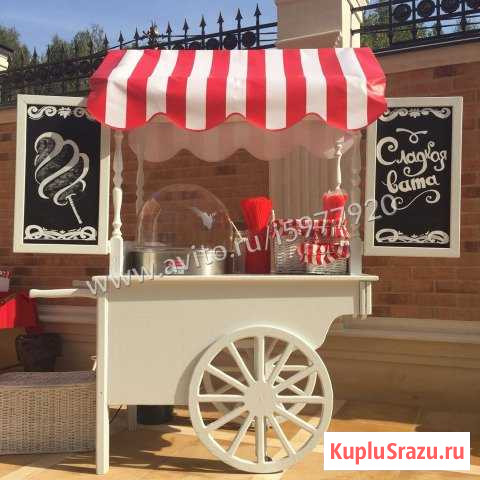 Готовый бизнес на Фигурной Сладкой вате Кемерово - изображение 1