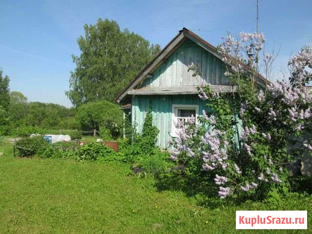  Устье - изображение 1