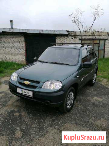 Chevrolet Niva 1.7 МТ, 2013, внедорожник Буй - изображение 1