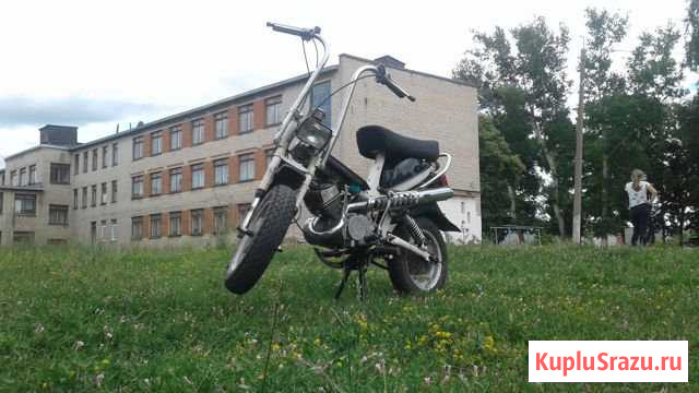 Рига-Стелла Елец - изображение 1