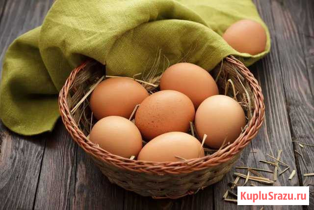 Яйца куриные Великий Новгород - изображение 1