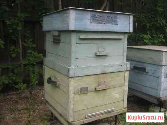 Ульи 3-х корпусные Курган