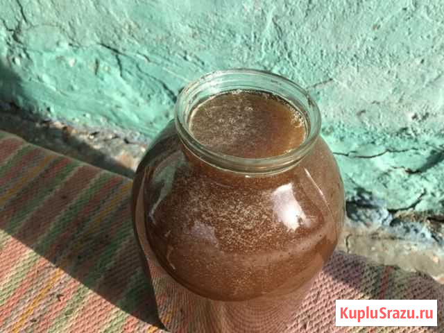 Мед пчелиный Черемисиново - изображение 1