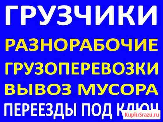 Грузчики Профи 24/Автоперевозки грузов (а/м Ивеко) Саранск