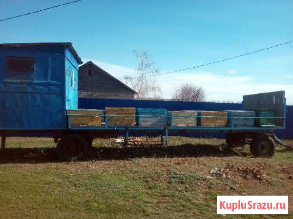 Продаётся пчелоприцеп Сорочинск - изображение 1