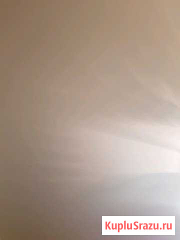 Ахатины Оренбург - изображение 1