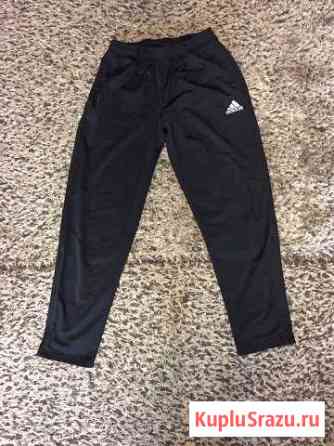 Брюки спортивные Adidas Пермь